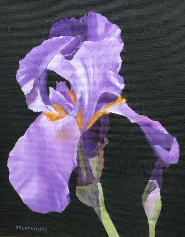 Purple Iris by artist Pat Flathouse